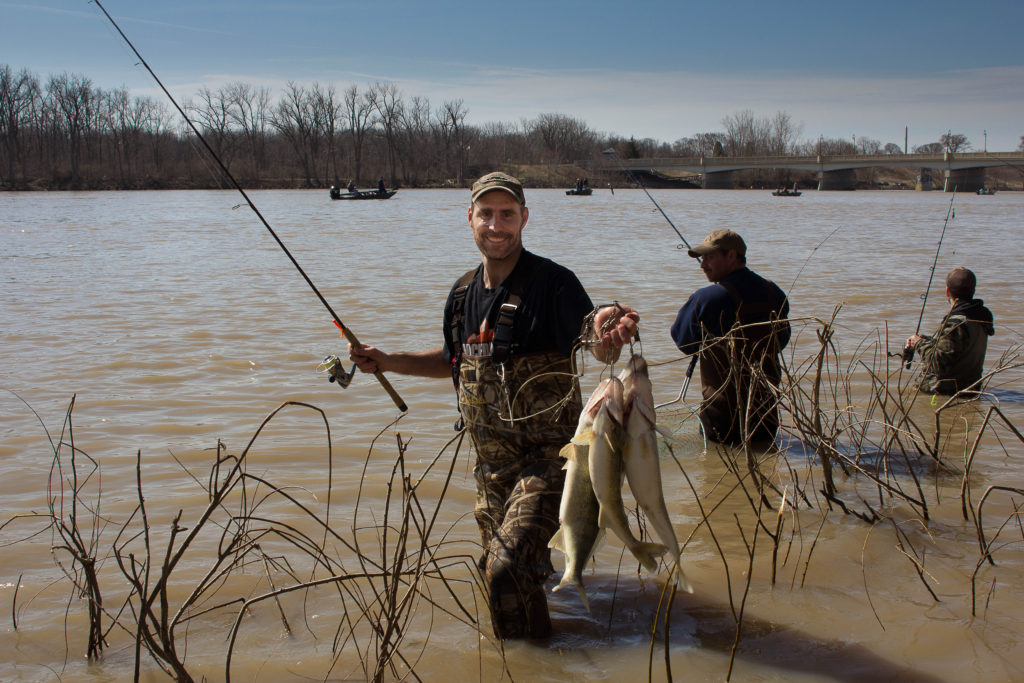 Gallery Maumee River Walleye Run
