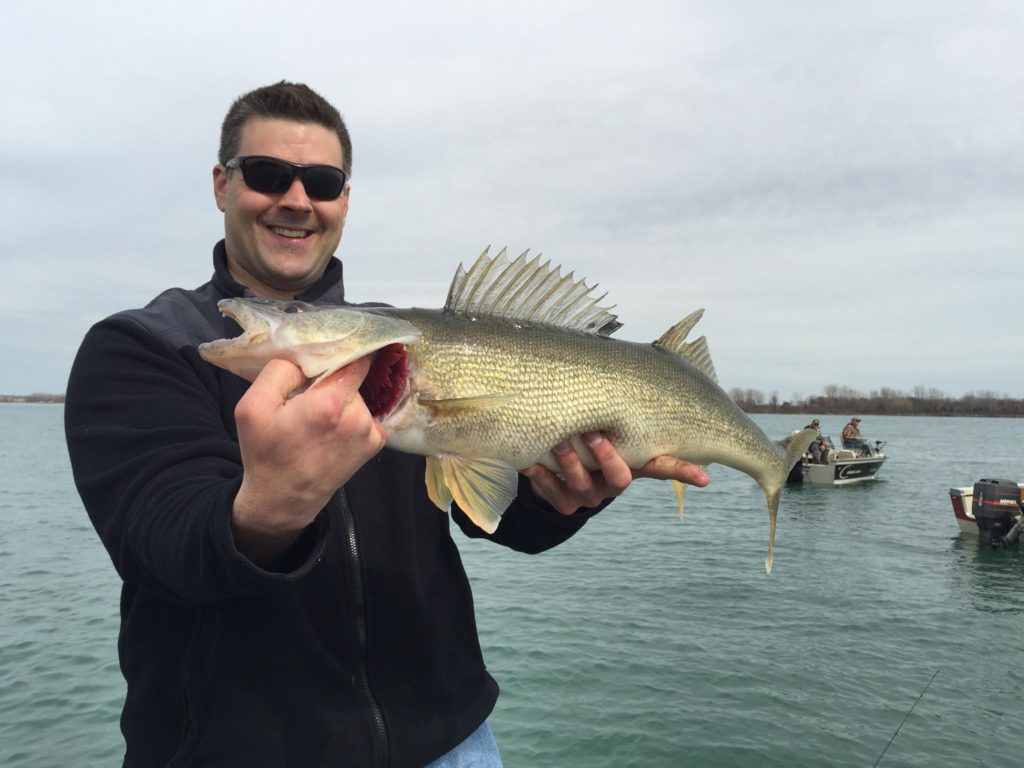 Gallery Maumee River Walleye Run